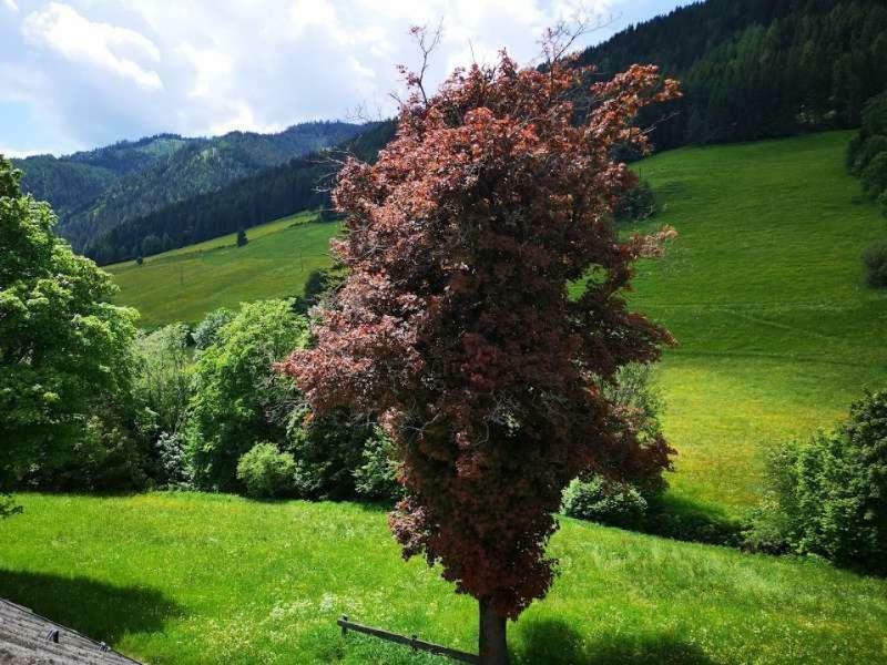 Haus Elsasser Sankt Johann am Tauern Buitenkant foto